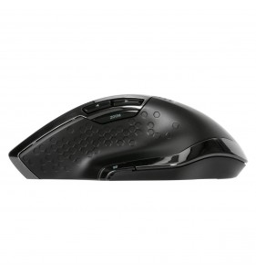 Targus AMW584GL ratón mano derecha RF inalámbrico Blue Trace 1600 DPI